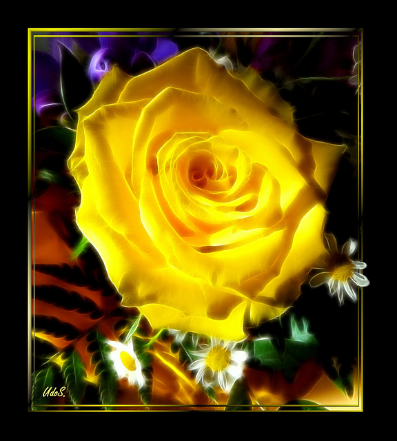 Yellow rose, painted.  ©UdoSm