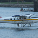 de Havilland DHC-3 Turbo Otter C-FLAP (Harbour Air)