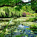 FR - Giverny - Claude Monet's House and Garden
