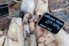 IMG 9940-001-Cornish Squid