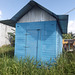 Cabanon bleu / Blue shed