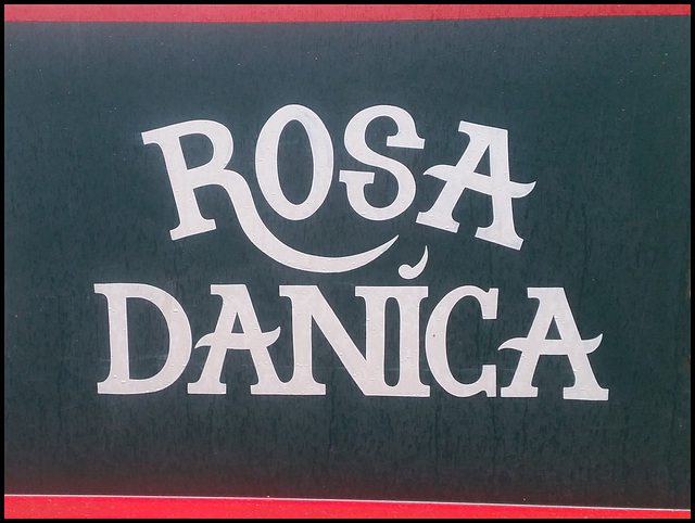 Rosa Danica