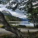 Tierra de Fuego -   Lago Acigami