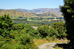 New Zealand/ Kaikoura