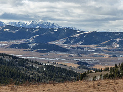 A view from the Porcupine Hills