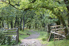 Lorna Doone Valley trail