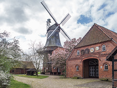 Windmühle Hoyerhagen