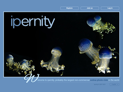 ipernity homepage with #1191
