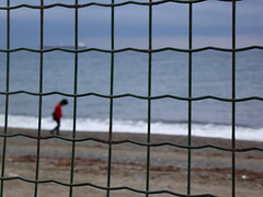 fenced winter beach