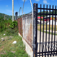 Fence, Tortola (HFF)