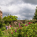 Sissinghurst: Rose Garden (2xPiP)
