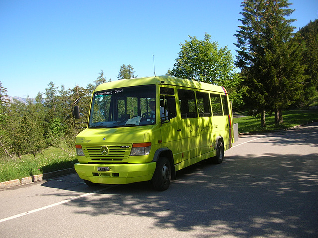DSCN1695 Liechtenstein Bus Anstalt FL 7760 (operated by Philipp Schädler)