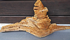 wood-art 1 (PiP)