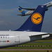 Lufthansa SO