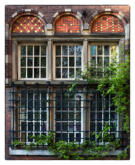 Amsterdam Windows