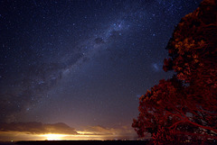 Milky way  over Tauranga