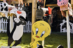 Looney Tunes – Montour Falls, New York