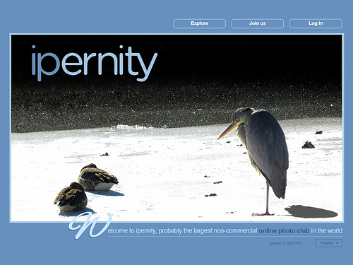 ipernity homepage with #1212