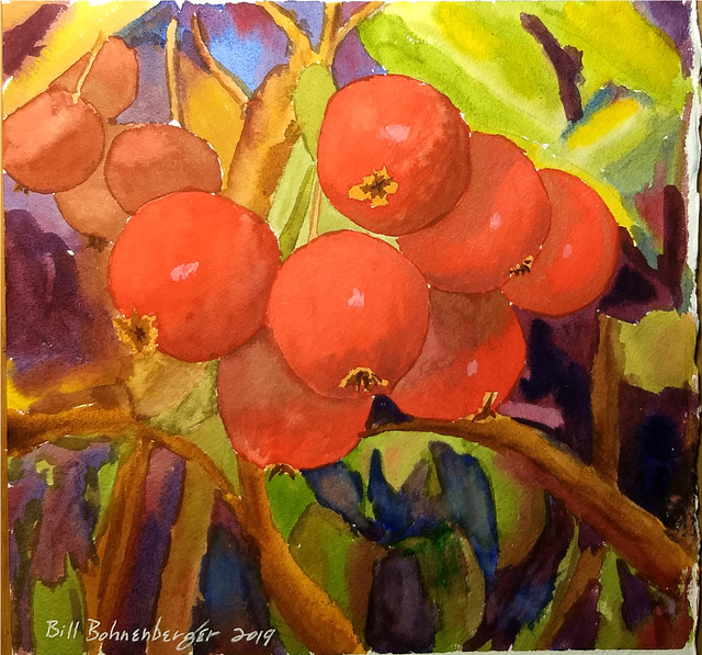 Crab Apples 10x9in