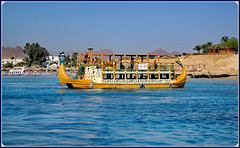 SHARM EL-SHEIK : un caicco per portare a spasso i turisti sulla barriera corallina