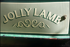 Jolly Lamb