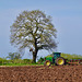 The Tree The Tractor