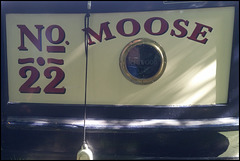 No.22 Moose