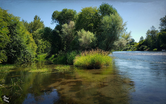 Lovely Shallows of the Rogue River Last Year (+1 inset!)