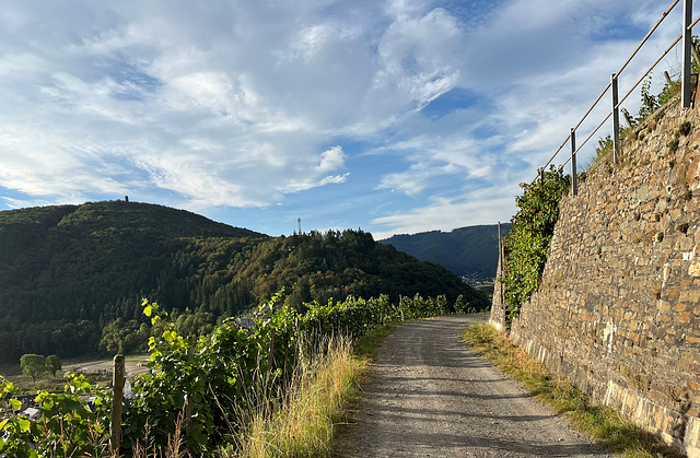 HWW aus den Weinbergen