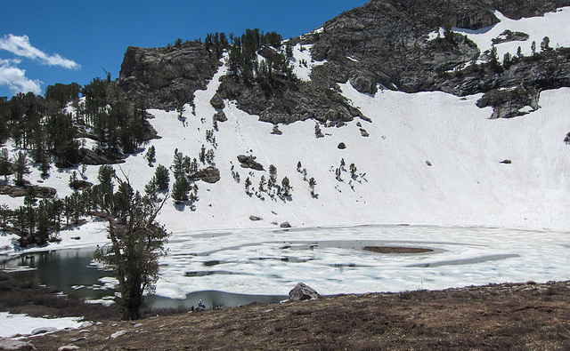 Island Lake Trail, Lamoille Canyon (0658)