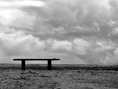 Top of the Hill Bench