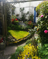 My Mum's garden again