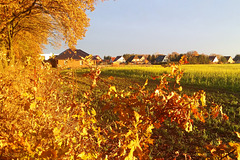 Rastow, Goldener Herbst