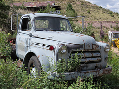 1954-1956 Dodge Job Rated Truck