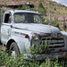 1954-1956 Dodge Job Rated Truck
