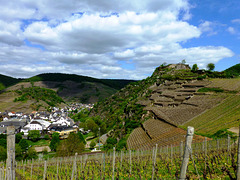 DE - Mayschoß - Hiking through the vineyards