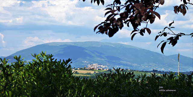 Assisi am Fuß des Monte Subasio
