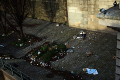 L'Amicale des Rongeurs est une association parisienne d'aide aux rats . Un sac de déchets menagers fournit par les sympathisants , nourrit plusieurs rats . Merci à tous