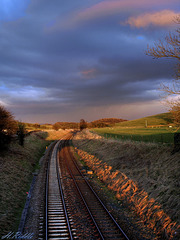Evening on the Settle line.
