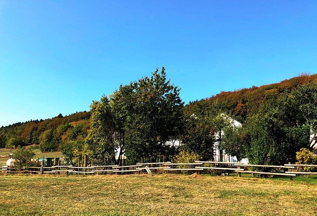 DE - Loogh - Landschaft beim Grönerhof