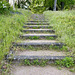 Grassy steps
