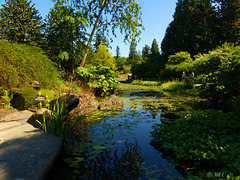 Van Dusen Garden, Vancouver