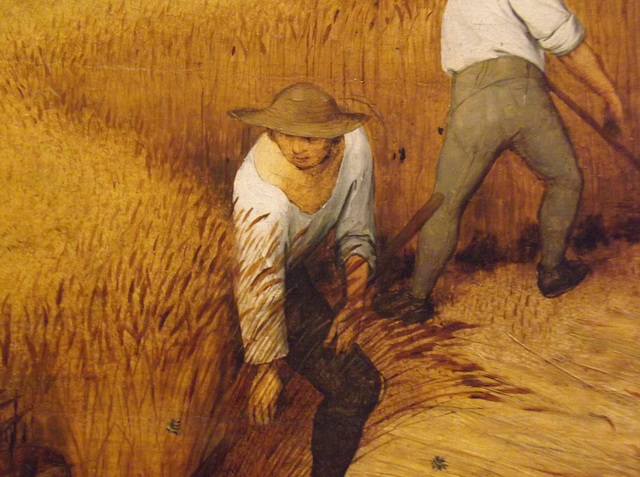 Detail of The Harvesters by Brueghel in the Metropolitan Museum of Art, February 2014