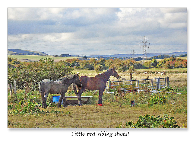 Little red riding shoes - South Heighton - 22.9.2016