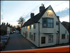 evening at the Vine