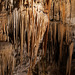 Inside Postojnska Cave