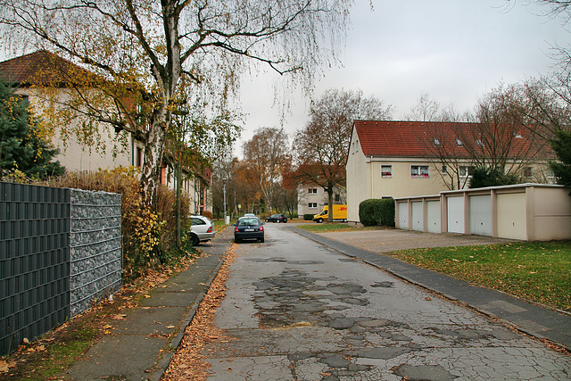 Hellbrüggenweg (Bochum-Werne) / 20.11.2018