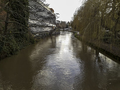 River Wey view South from the Town Bridge