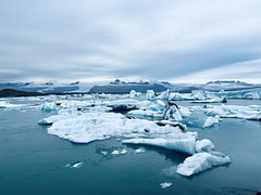 Floating icebergs.1