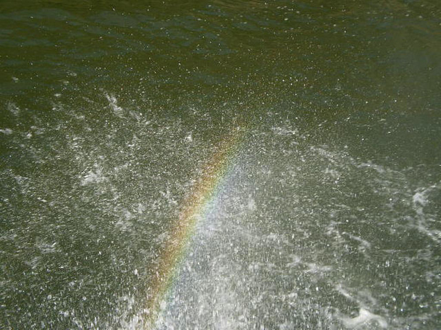 Rainbow close to the water surface.